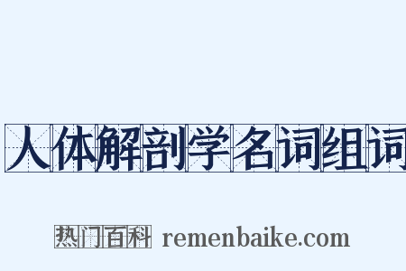人体解剖学名词组词是什么意思的图片